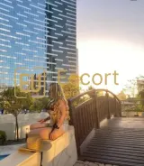 Rezerv-o pe Nicole, escortă în Abu Dhabi — fotografia 3